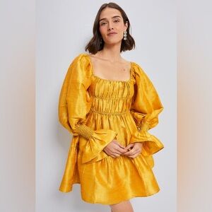 LOUISE Marigold Elisabeth Mini Dress
$479 NWT size Small party dress TUCKERNUCK